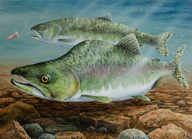 The 2022 trout stamp