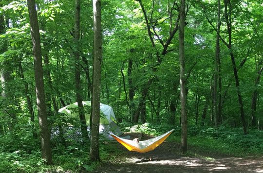 Young kid in hammock in the woods, looking over the edge, tent is set up behind them.