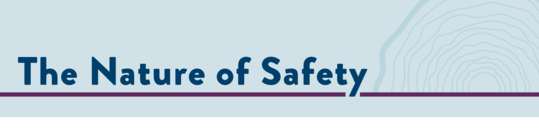 The Nature of Safety Banner