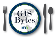 MNGeo GISBytes logo