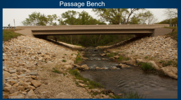 Bridge with bench for animal passage