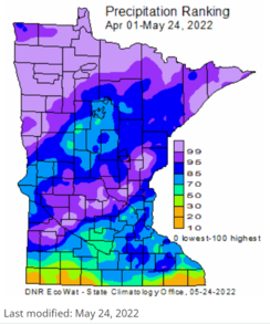MN Weekly precipitation ranking map showing 99th percentile in northern and portions of central MN