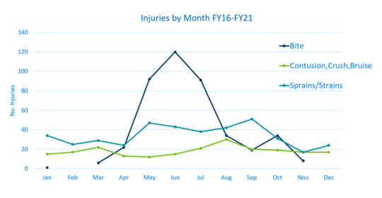 Graph showing high rates of staff injuries from May through September
