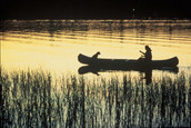 Dog and Paddler in canoe on water