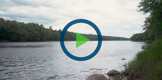 A screenshot of the video