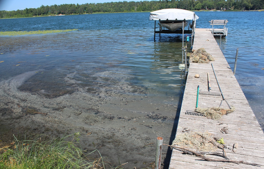 dock with hydraulic jet and the water is all murky, with some plants piled on the dock