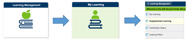 Learning Management System tile images for Supplemental Learning