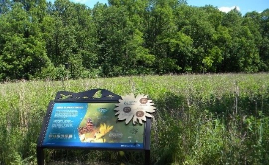 Exhibit about pollinators overlooking a prairie.