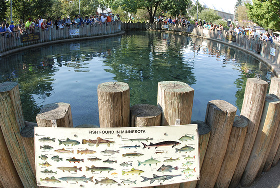 People surround the DNR fish pond at the State Fair; a sign in front shows the fish found in the pond