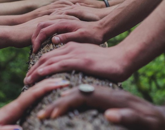 Hands with different skin tones on a log in the forest