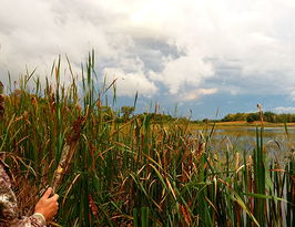 photo from within a duck blind