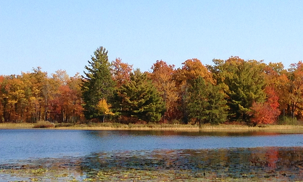Fall colors across Sunfish Lake