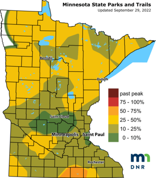 Map of the state of Minnesota with sections in yellow and different shades of green denoting fall color change in different regions.