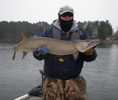 angler with a muskie on a boat