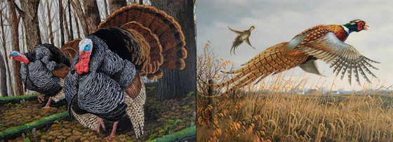 Left: An acrylic painting of wild turkeys in the woods. Right: An oil painting of pheasants in flight.