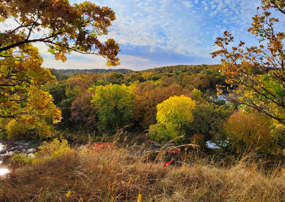 Trees and prairie grasses and sumac all displaying bright fall colors. A river can be seen meandering through the foliage.