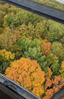Aerial view of fall color foliage framed by a metal structure from a fire tower.