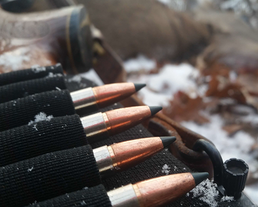 non-toxic rifle bullets in a sleeve on a rifle with a harvested deer fuzzy in the background