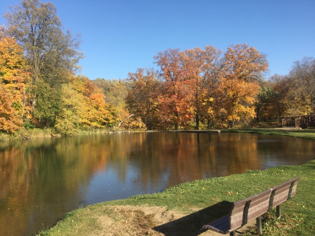 A bench near the edge of the swimming pond at Camden State Park is the perfect spot to sit and enjoy fall colors.