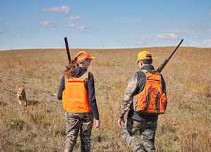 two pheasant hunters walking next to each other and a dog running back