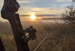 bowhunting photo of sunrise and a bow with camera seeing arrow and part of bow over wetland