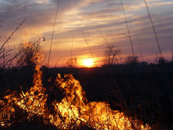 fire against a dark background