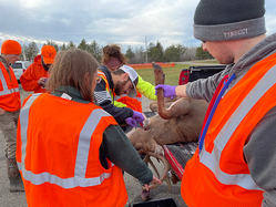 CWD in person sampling