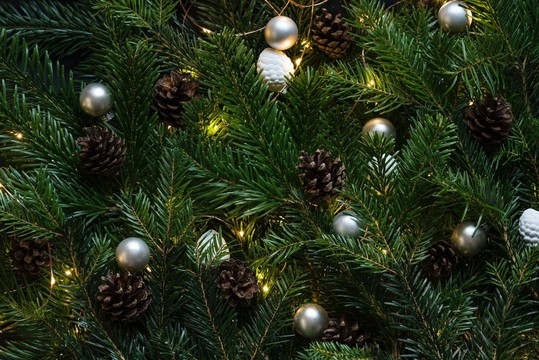 A close-up photo of a tree with ornaments