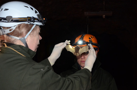 One person holding up a bat for the other to inspect