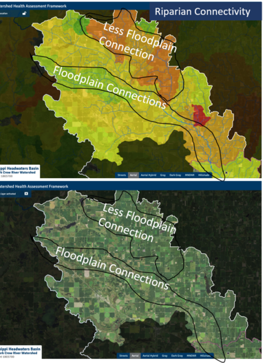 North Fork Crow River Riparian Connectivity