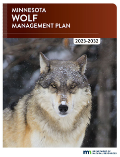 Minnesota wolf management plan cover, 2023-2032, Minnesota DNR logo, photo of wolf in snow