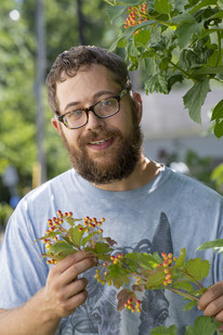 Alex Junge holds an American highbush cranberry plant in the native garden he maintains at his home in St. Paul.