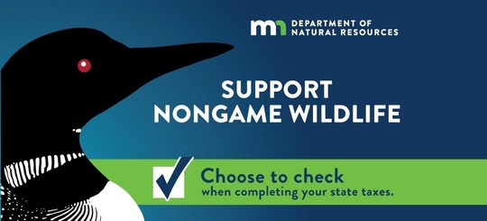 Loon illustration, MNDNR logo, and a “checked” box. Text reads “support nongame wildlife. Choose to check when completing your state taxes."