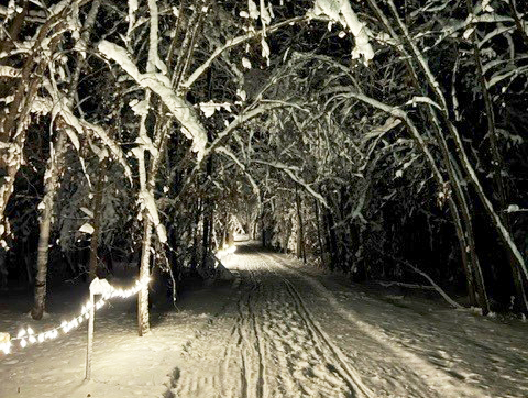 String lights illuminate a snowy trail in the woods at night