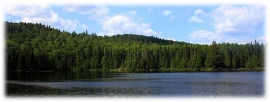 Heritage Forest Project Banner