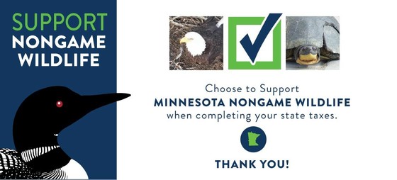 A colorful banner depicting various wildlife with the text Choose to support Minnesota Nongame Wildlife when completing your tax forms, thank you