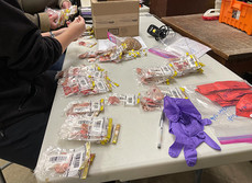 table with lots of baggies containing CWD samples for testing and staff at work