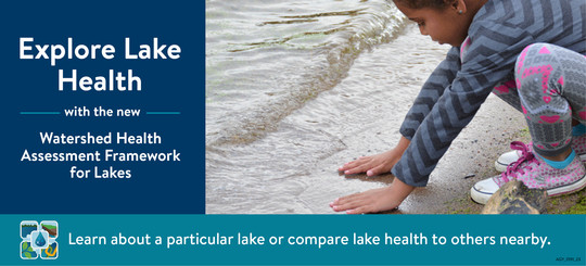 child feeling the water along a lakeshore