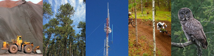 A collage of photos, including a tractor, trees, tower, biking and an owl