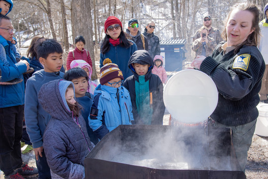 A woman pours maple sap into a vat while school kids look on
