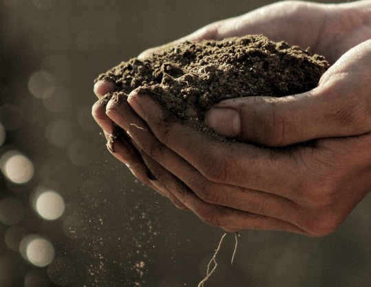 A pair of hands cupping a small pile of dirt, with some particles falling down