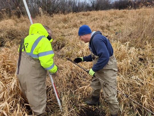 Field staff taking soil samples at Mud River
