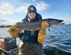 DNR fisheries staff holding a pike on a fisheries boat on Bald Eagle Lake