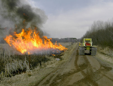 prescribed burning at Mille Lacs WMA