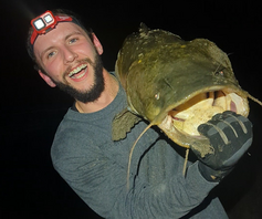 angler with a head lamp holding a large flathead catfish at night