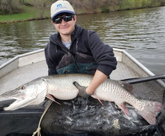 DNR Fisheries staff intern with a large muskie on his lap, on a boat