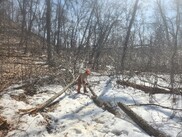 Karl Peterson clearing trees post Winter Storm in woods.