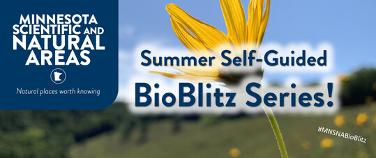 2023 Self-guided Bioblitz Series