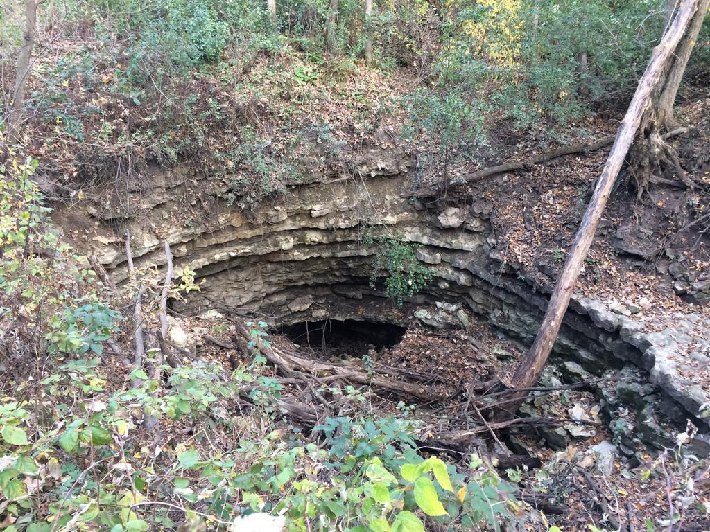 Goliath Cave entrance at Cherry Grove Blind Valley SNA