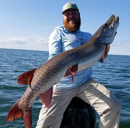 state record catch and release muskie